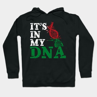 It's in my DNA - Belarus Hoodie